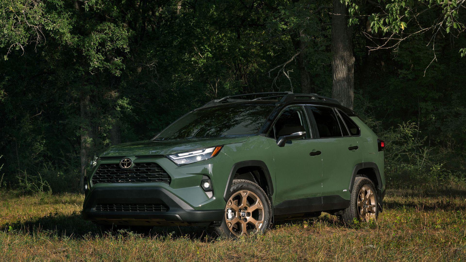 Army green 2025 Toyota RAV4 Hybrid parked on grass with trees in background.