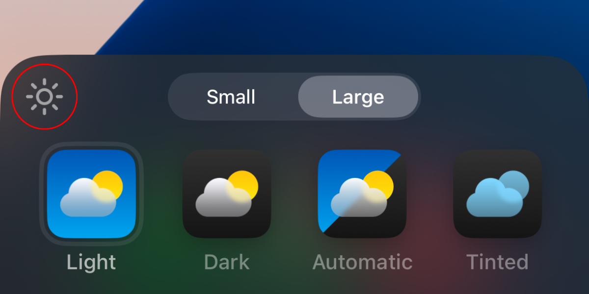 Screenshot of the sun icon in the Customize menu on the iPhone.