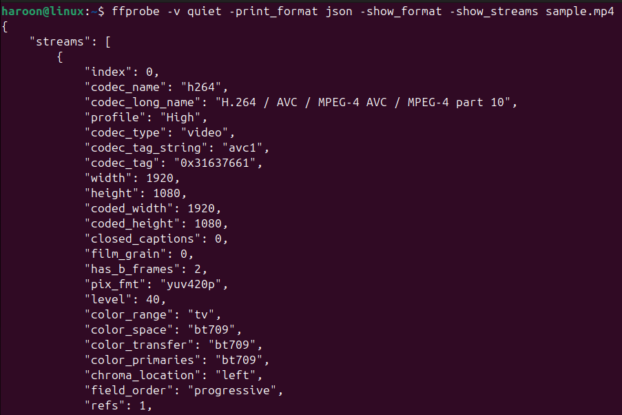 Displaying video information in proper JSON format in the terminal window.