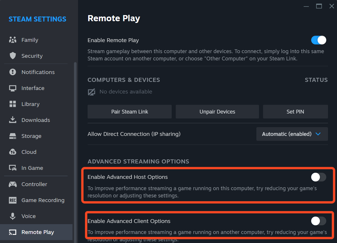 Steam Remote Play tab. 