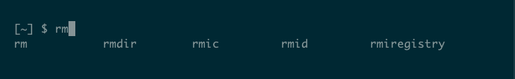 A Linux shell showing available commands beginning with the text "rm."