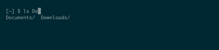 The ls command with an argument "Do" showing auto-completions that read "Documents/" and "Downloads/."
