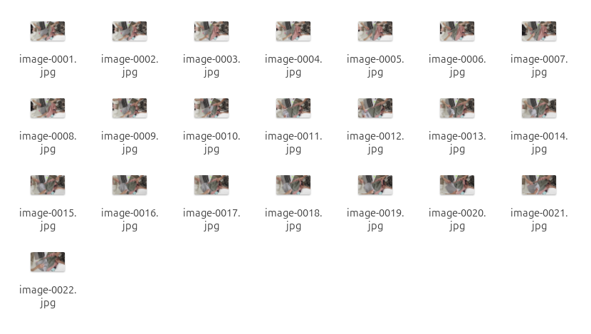 Extracted images displaying in a specific folder.