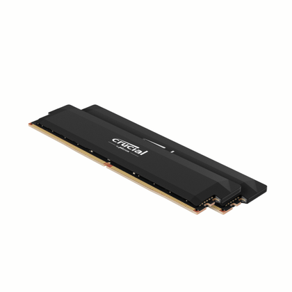 Kit crucial PRO DDR5 RAM 32GB.