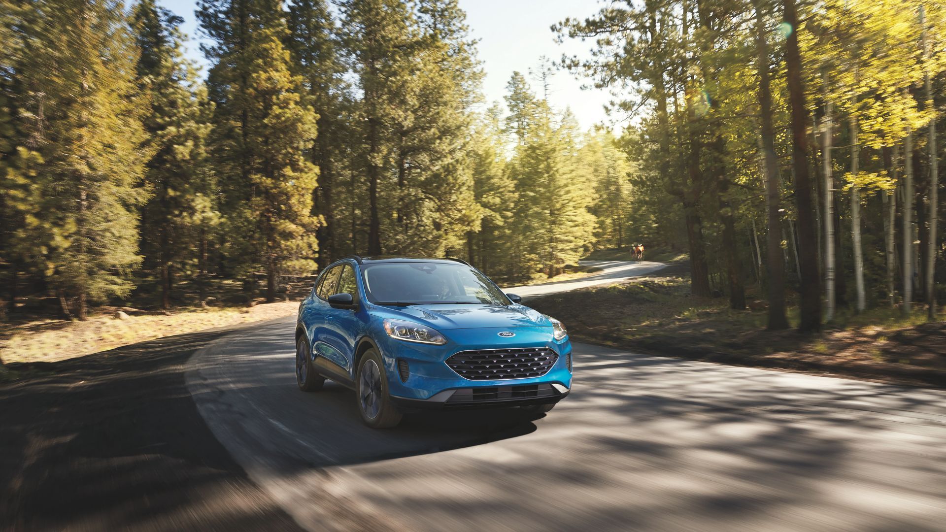 Передний вид синего Ford Escape 2022 года, который движется по дороге в лесу.