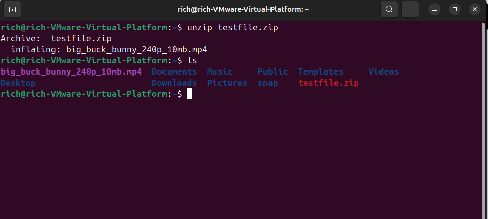 Linux terminal showing unzip testfile.zip extracting a video file, followed by an ls command listing the extracted MP4 file and original ZIP archive.