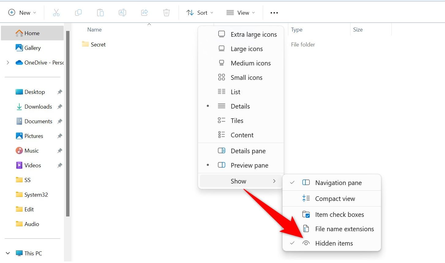 View > Show > Hidden Items highlighted in File Explorer.