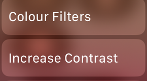 Accessibility Shortcuts buttons in the Control Center on an Apple Watch.
