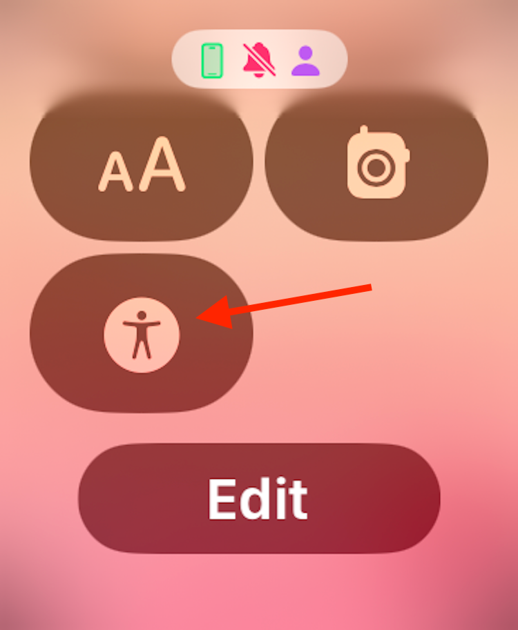 Accessibility Shortcuts icon in the Control Center on an Apple Watch.