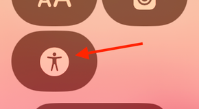 Accessibility Shortcuts icon in the Control Center on an Apple Watch.