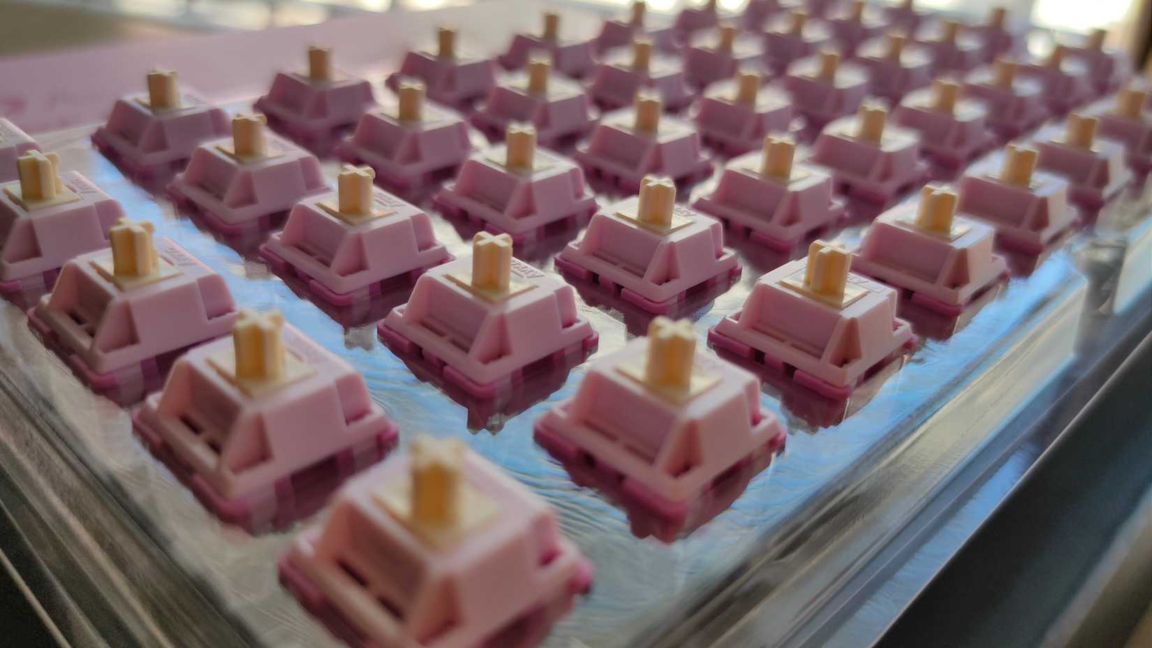 The Akko V3 Creamy Purple Pro switches in a tray.