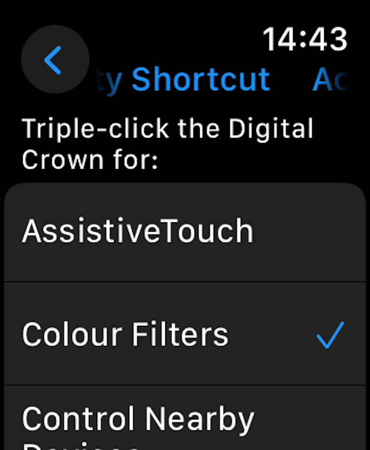 List of Accessibilty options with Color Filters selected in the Accessibility Shortcuts settings on Apple Watch.