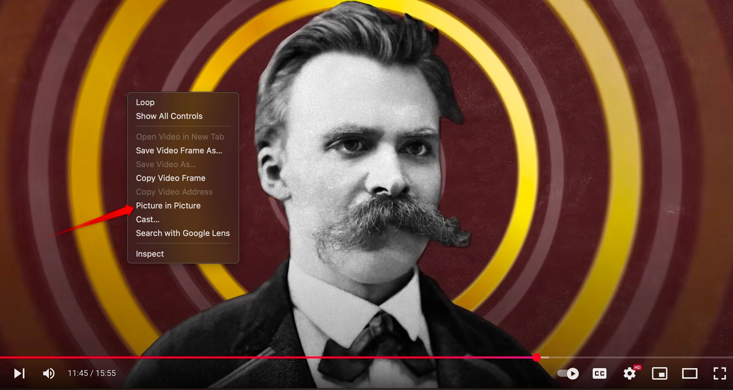 Playing a YouTube video in the picture in picture mode.