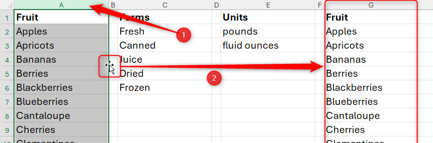 A column is selected in Excel, and it is duplicate in another column by clicking and slipping while maintaining Ctrl.