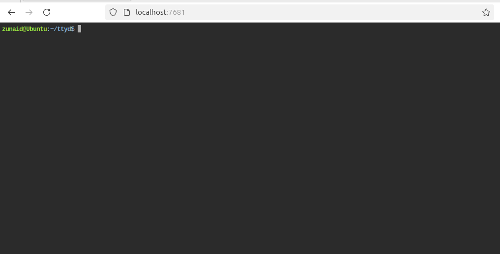 Access the Linux terminal on the web via TTYD.