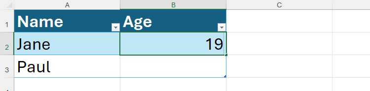 An Excel table, with two names and two cells where their ages will go.