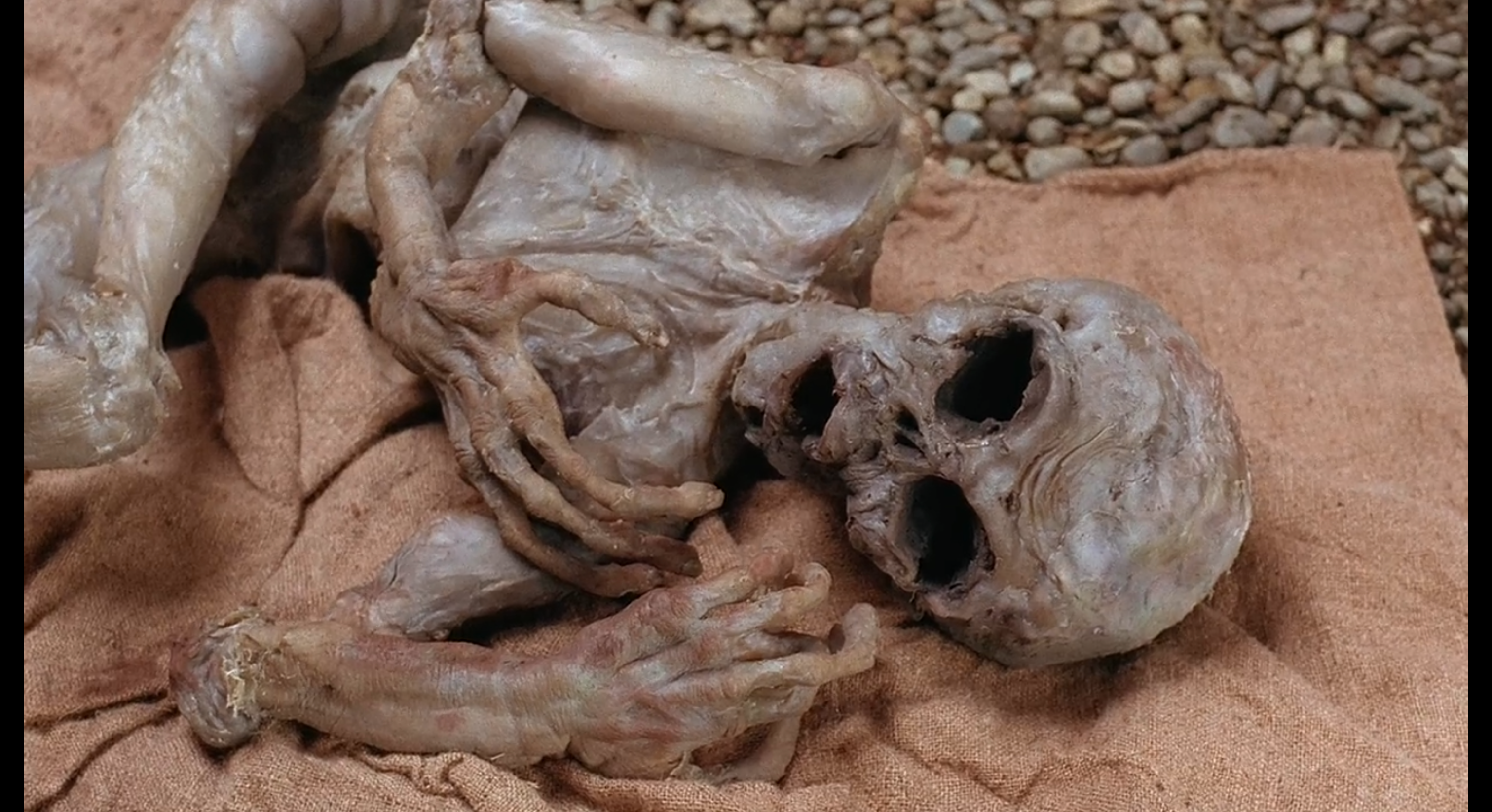 Anasazi scene from teh X-Files.