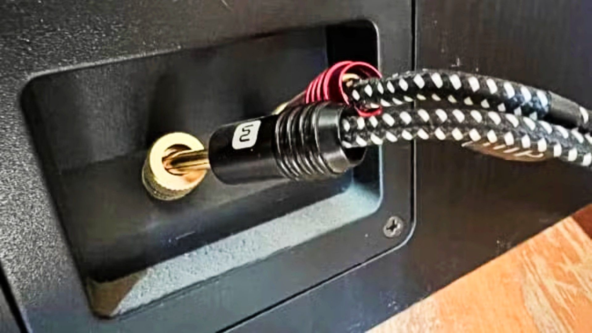 Banana plugs on speaker wire.