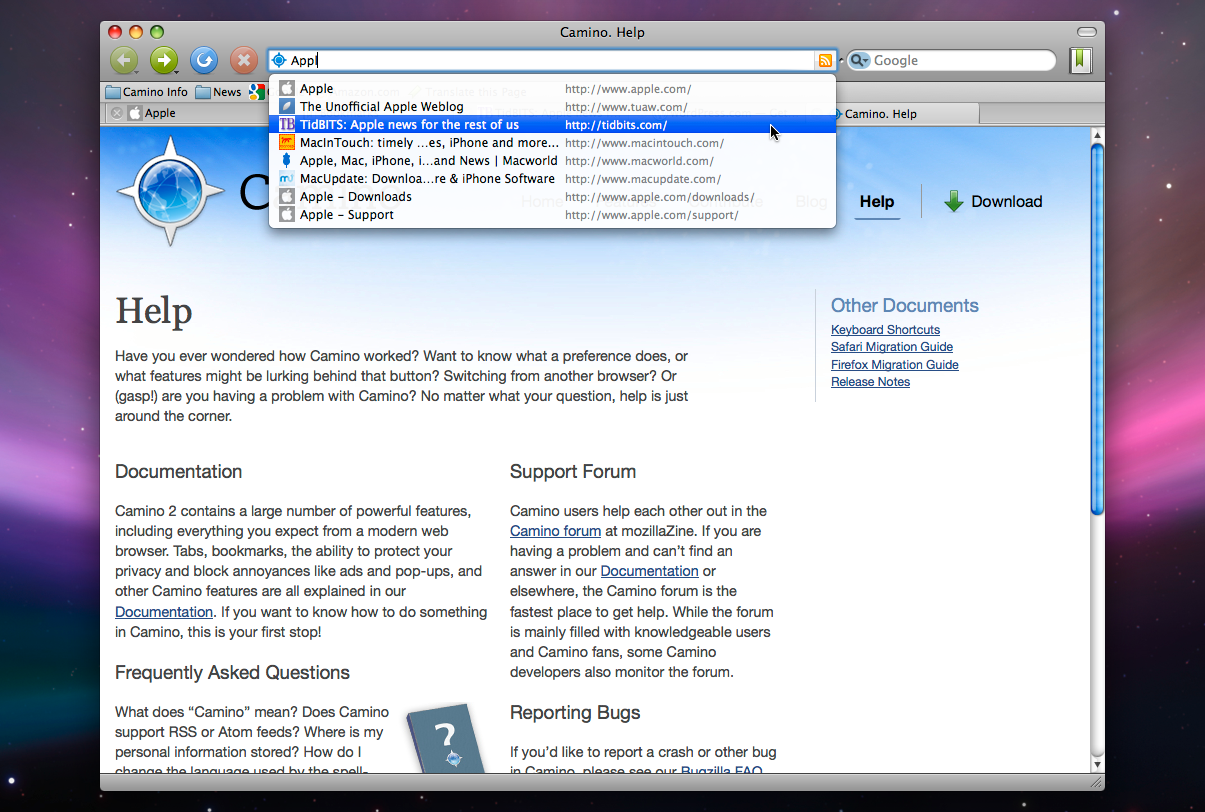 A screenshot showing Camino web browser's autocomplete feature in action.