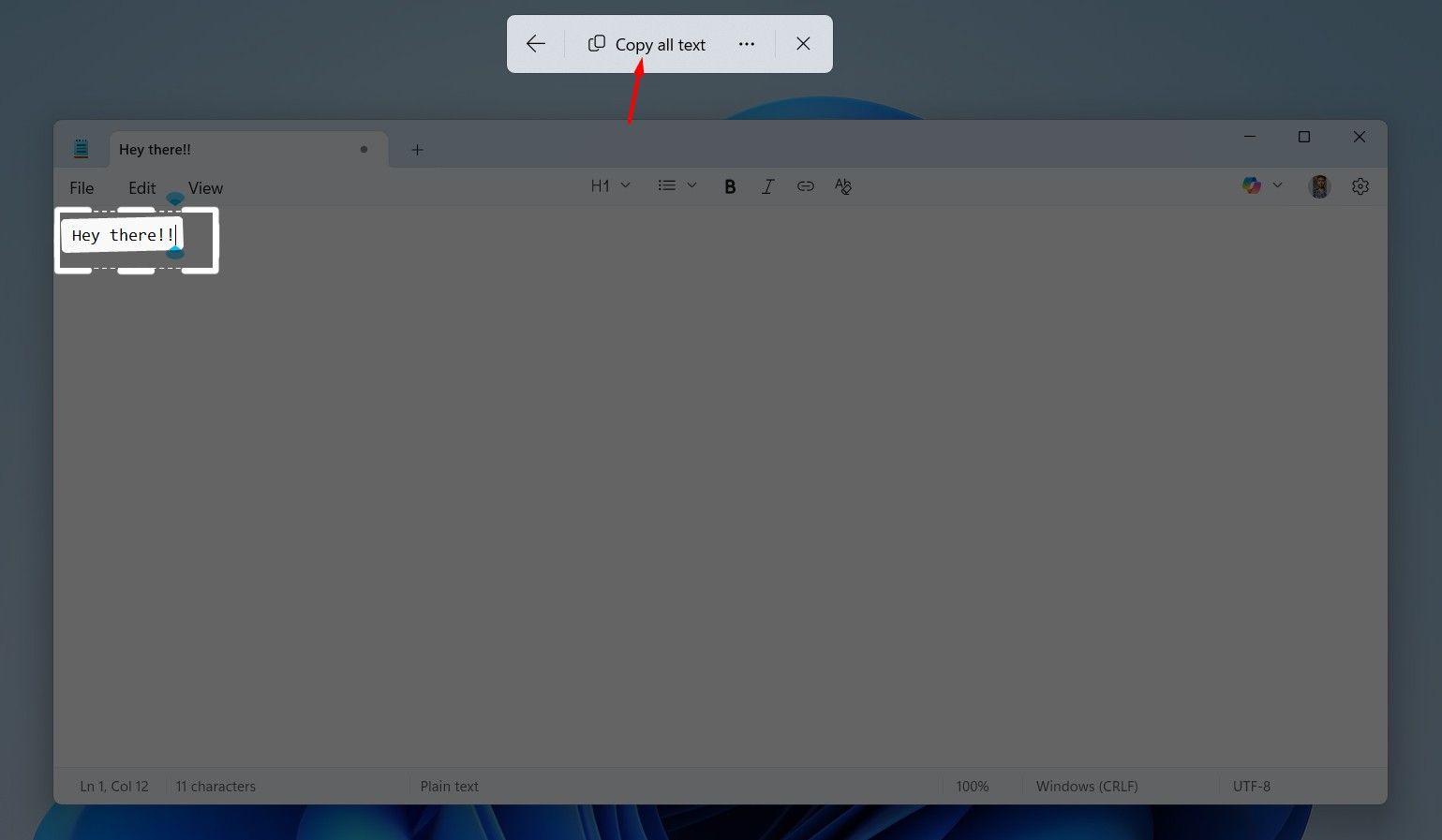 Copy All Text option in Snipping Tool.