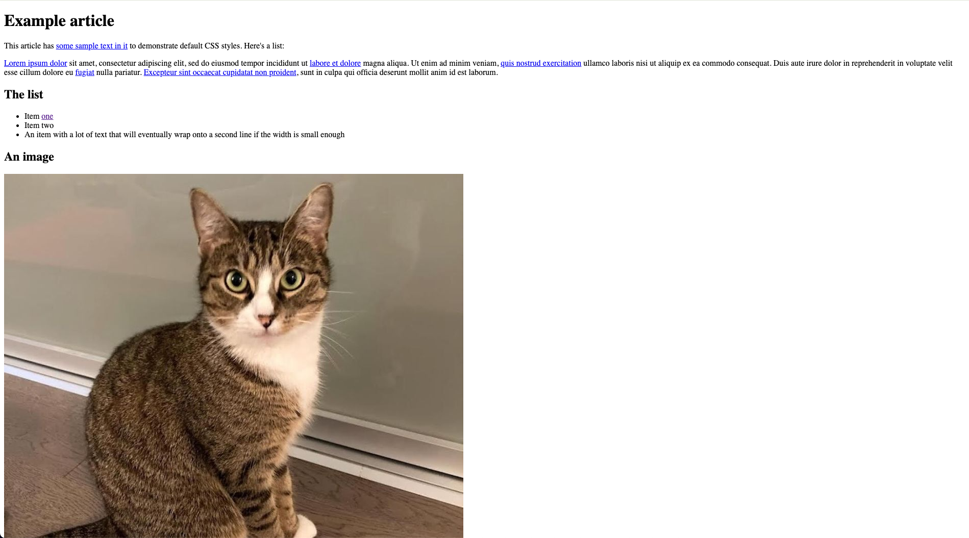 An example of HTML file displaying in a browser with default styles.
