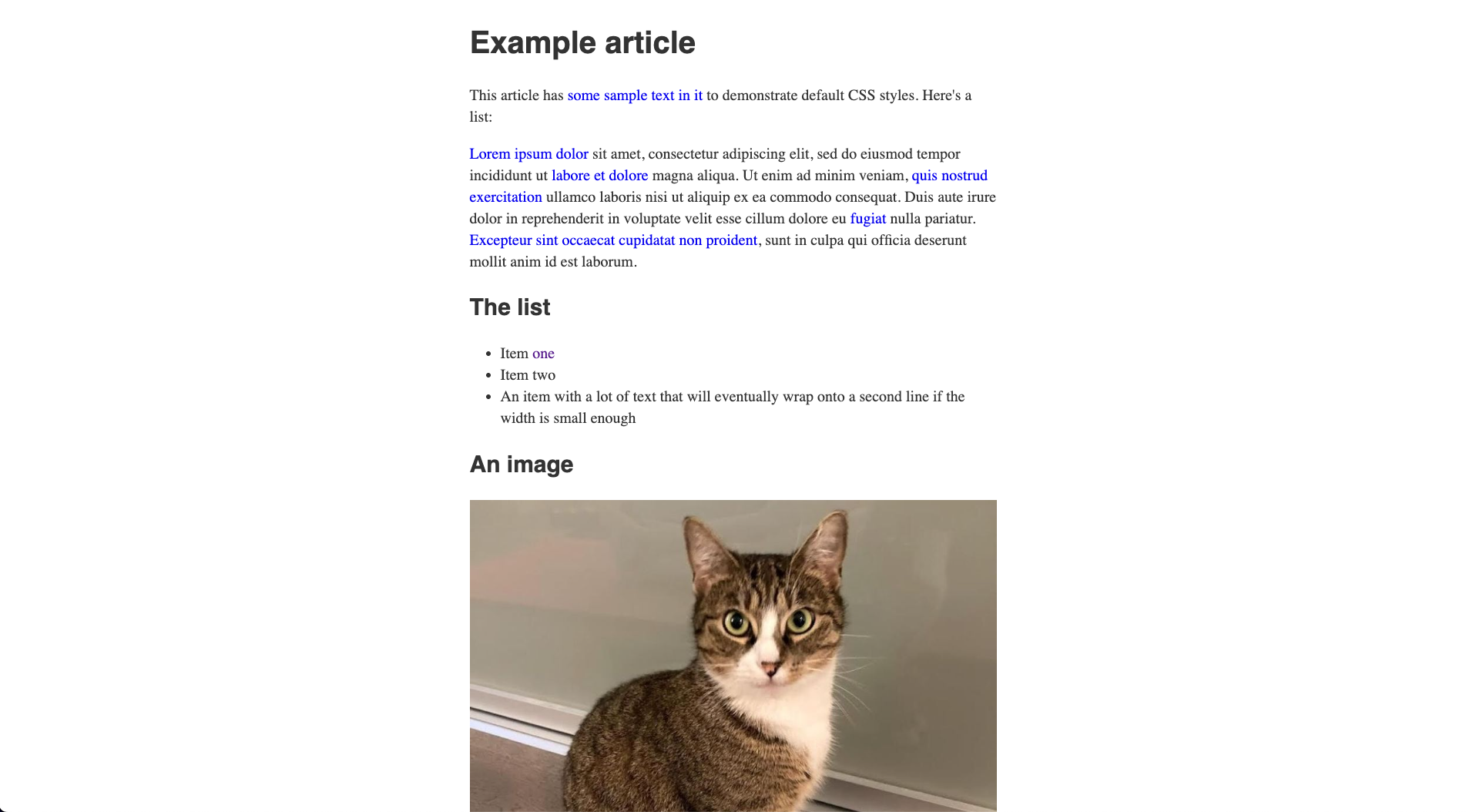 An example of HTML file displaying in a browser with a minimum of styles.