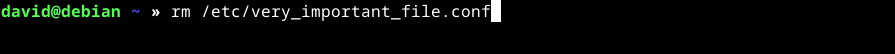 Running the Linux rm command on /etc/very_important_file.conf