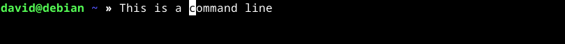 Moviendo el cursor en la línea de comandos de Debian ZSH.