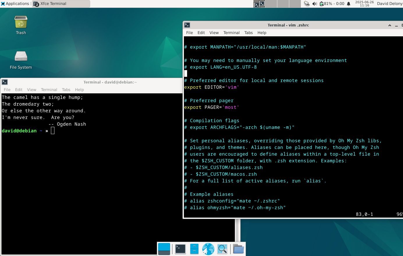 Editing the .zshrc file in one window and a backup terminal in other window on Linux.