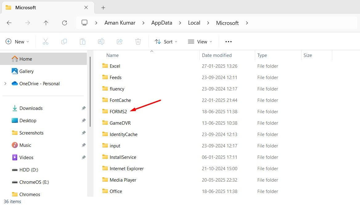 FORMS2 folder in the Microsoft Folder.