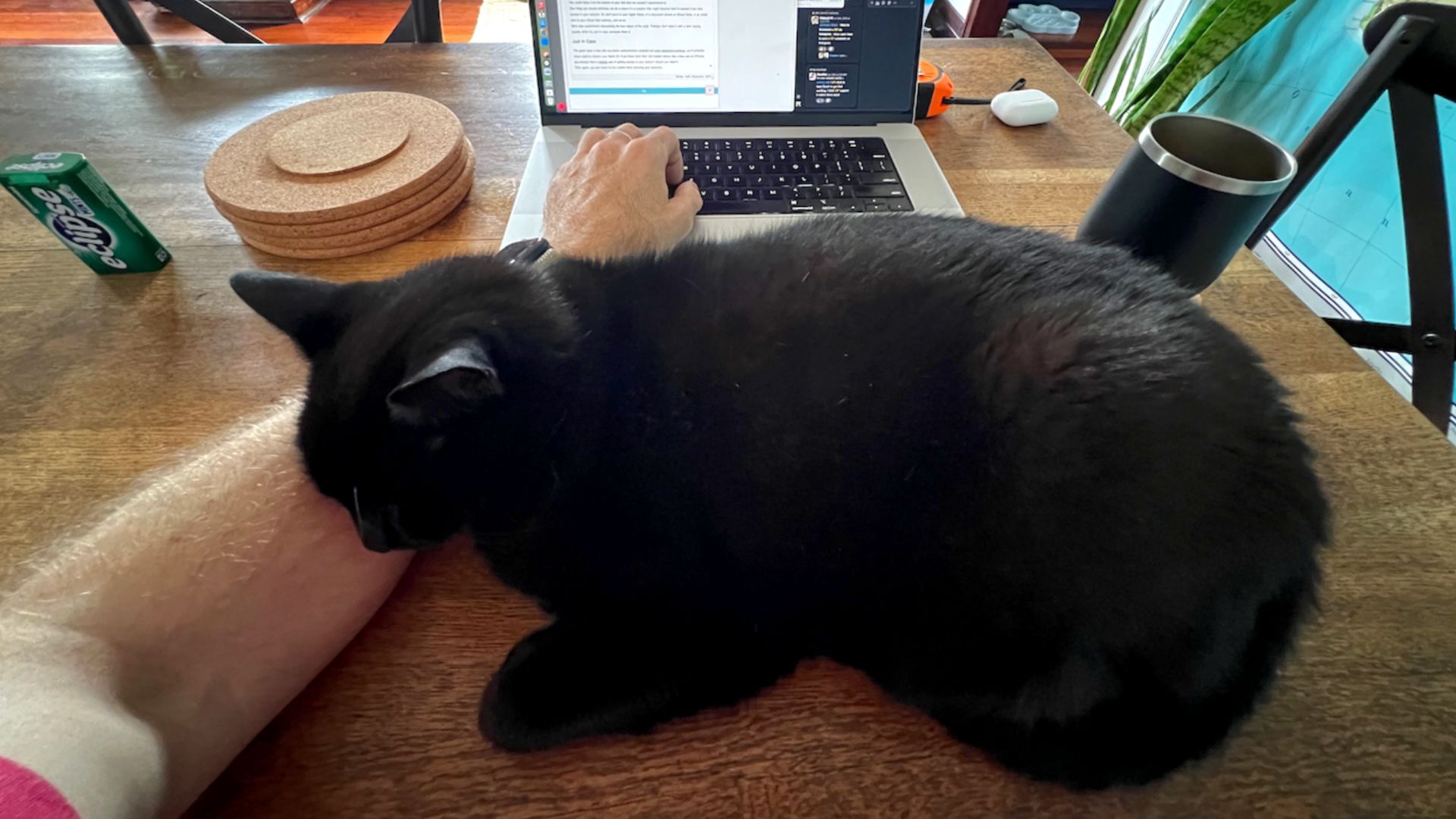 Inka the cat preventing real work from being done.