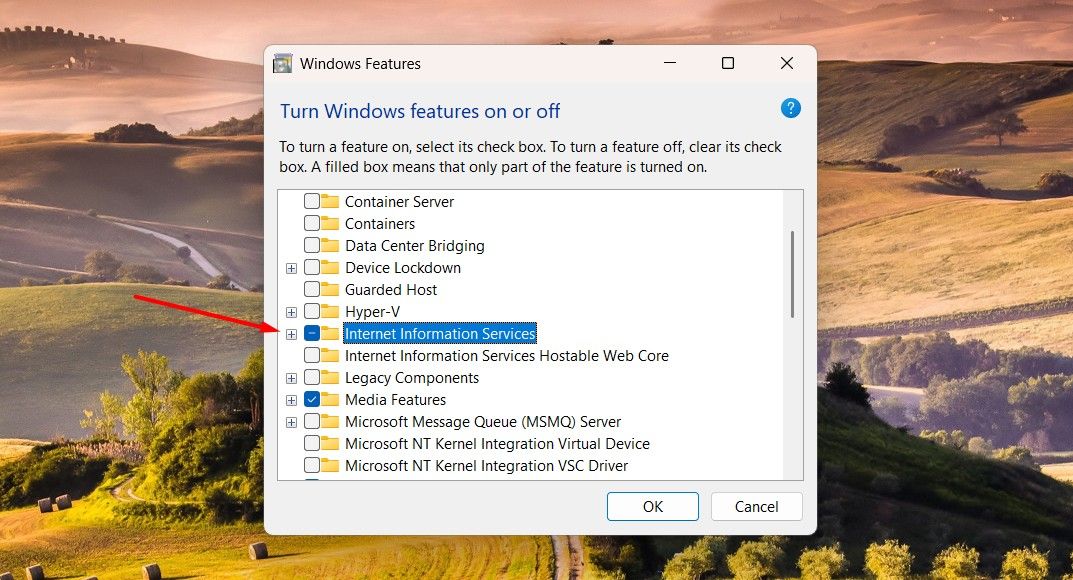 Caixa de serviços de informações da Internet nos recursos do Windows.