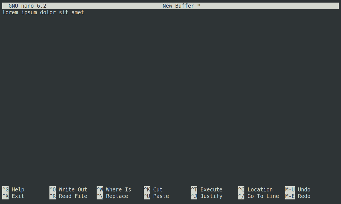 The nano text editor showing just a single line of text and two lines of keyboard shortcuts at the bottom.