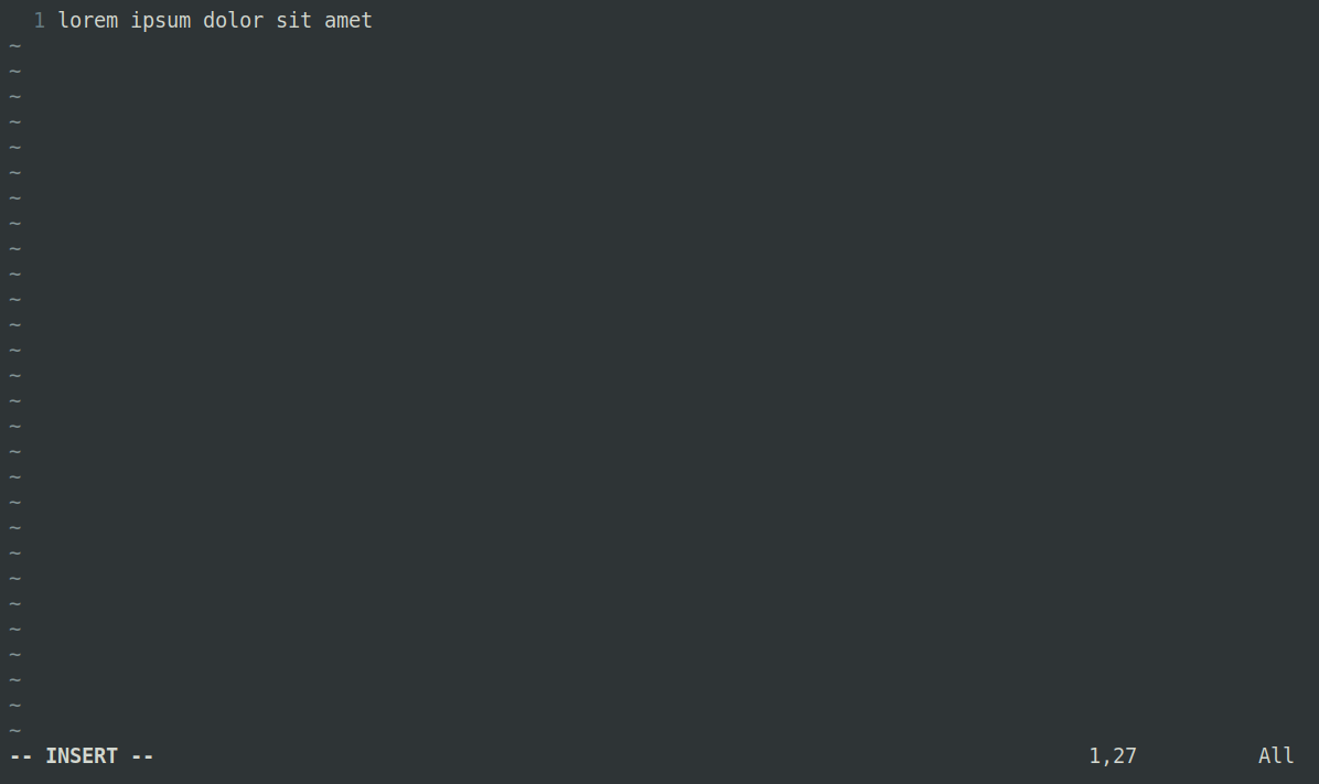 Vim showing just a single line of text with very minimal information displayed in the window.