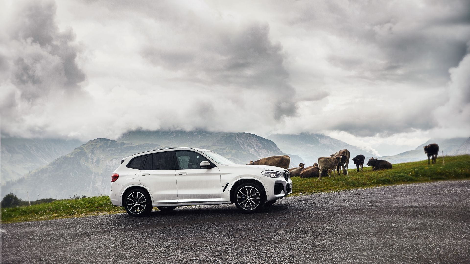 Used Luxury Plug-In Hybrid That’s Cheaper Than a New Toyota RAV4