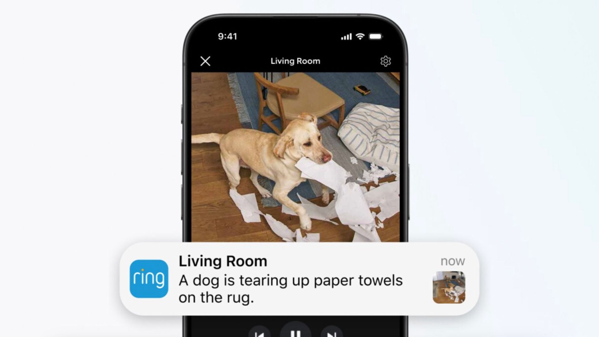 Ring camera descriptive alerts. 