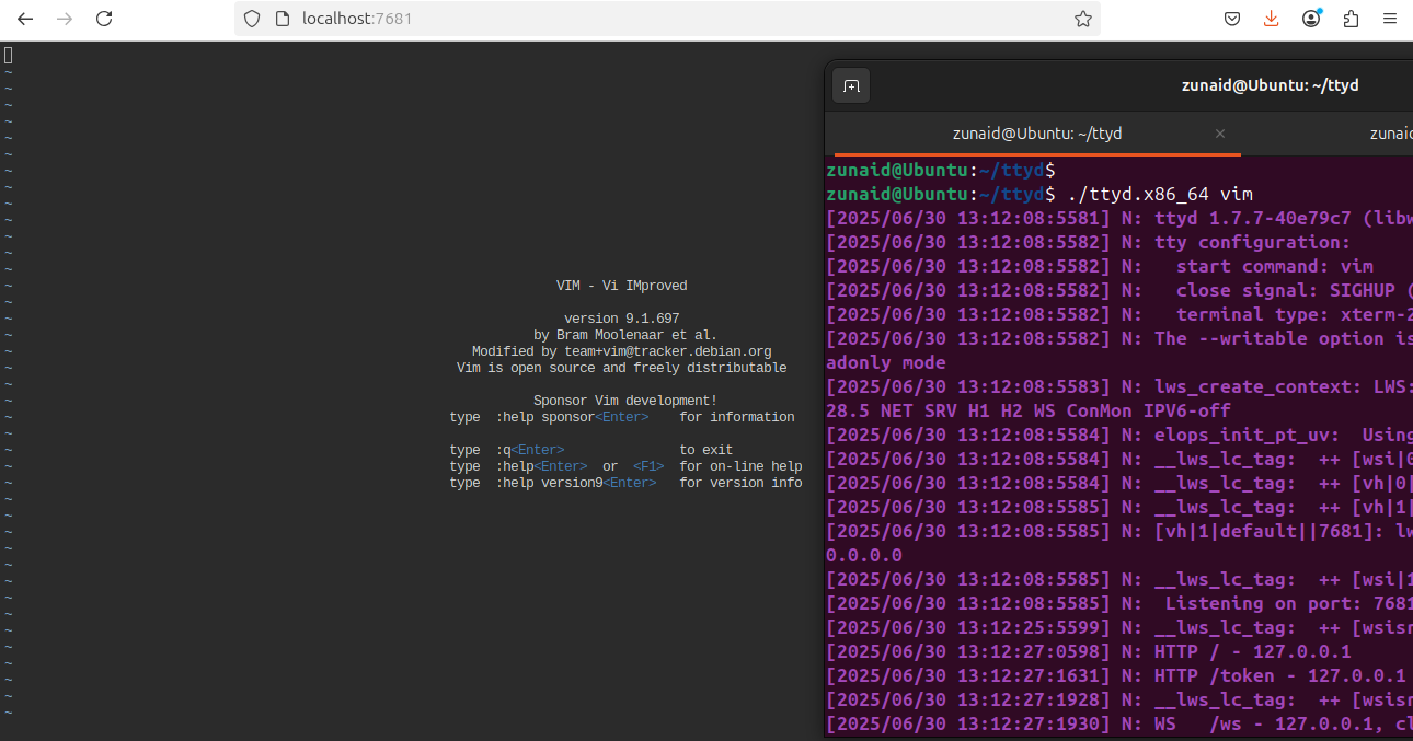 Sharing a VIM session on the web via TTYD.