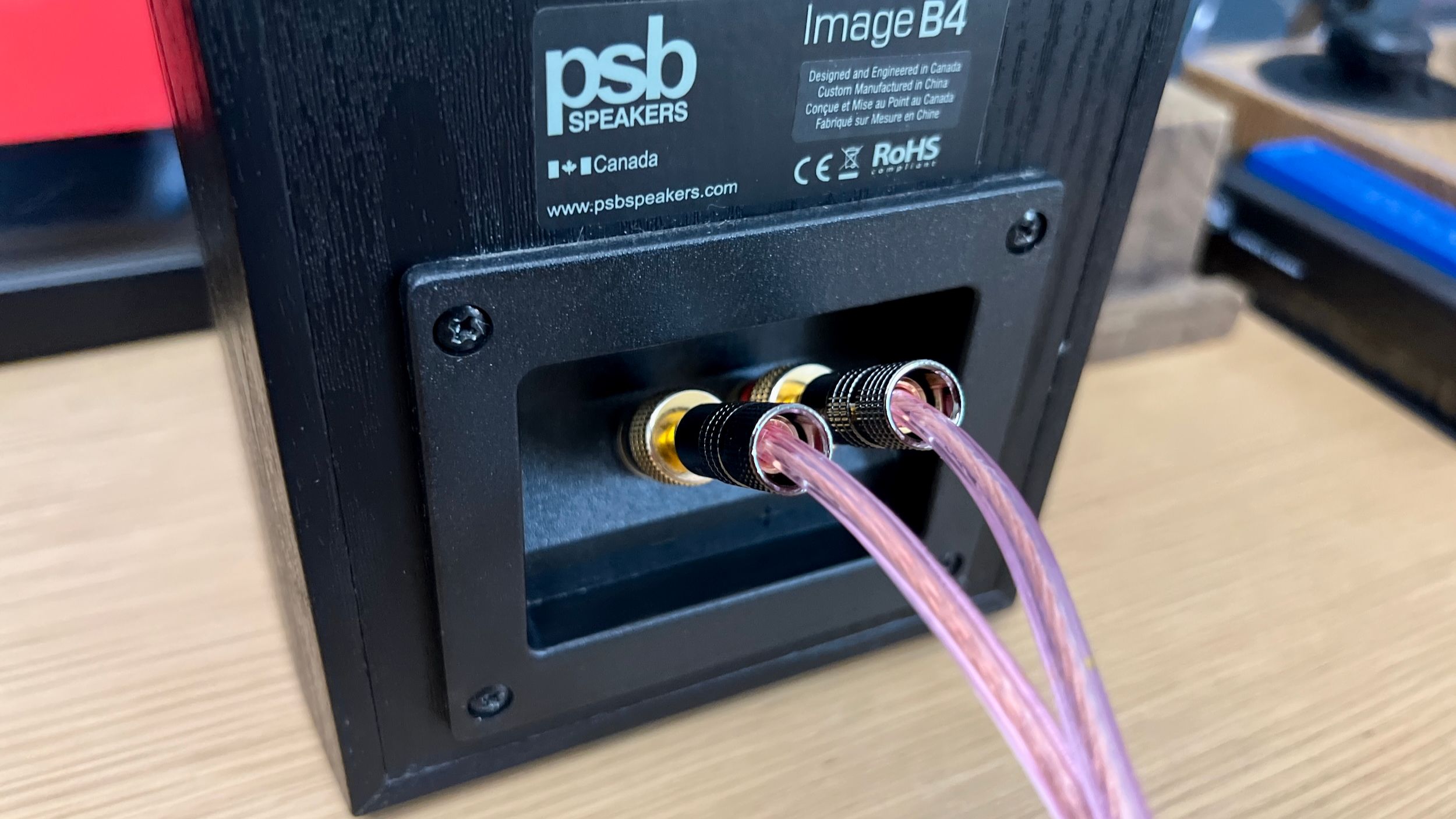 Speaker Wire and Banana Plugs Plugged Into a Speaker.