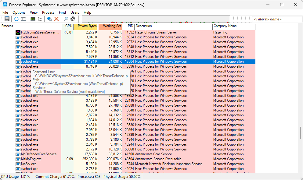 Svchost.exe shown in Process Explorer. 