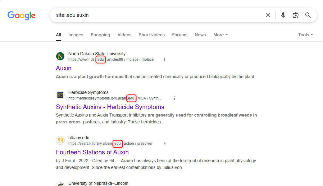 The Google Search result for a domain extension-specific query.