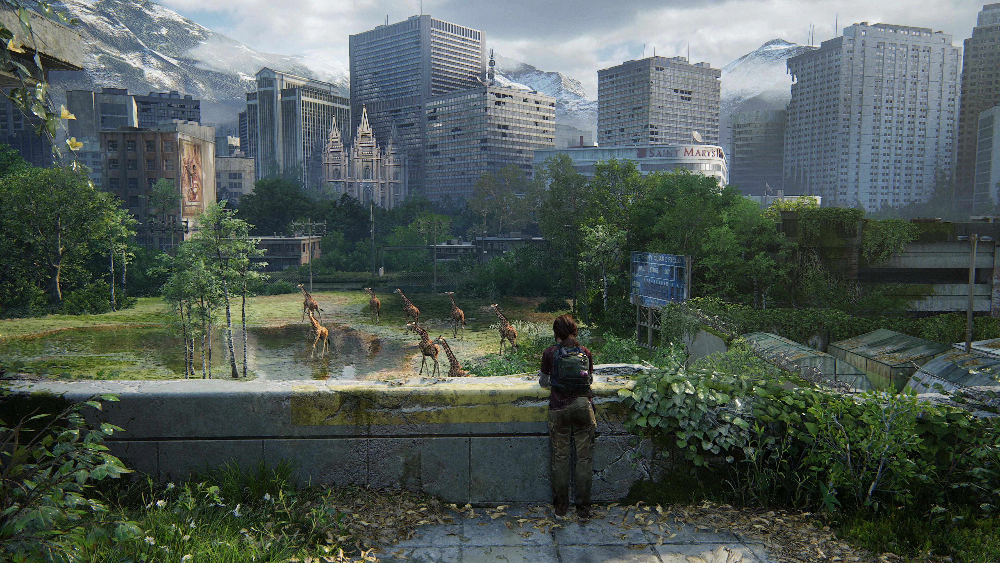 Элли смотрит на стадо жирафов в The Last of Us: Part 1.