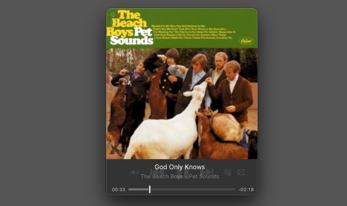 The music player in IINA.