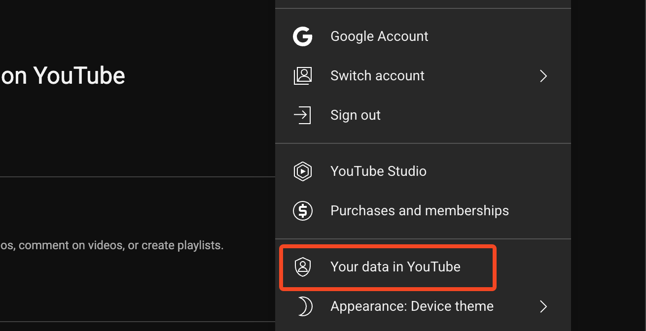 The Your Data in YouTube option.