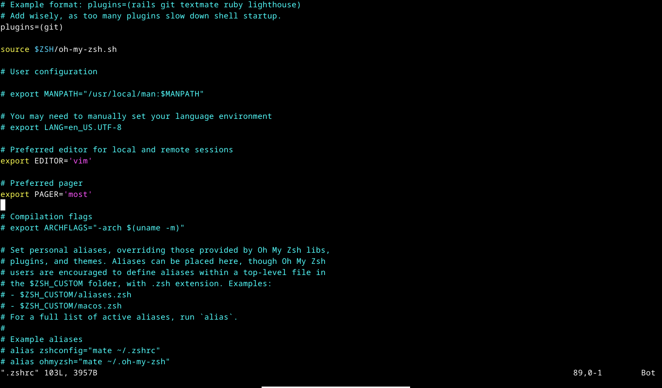 Editing the .zshrc in Vim.