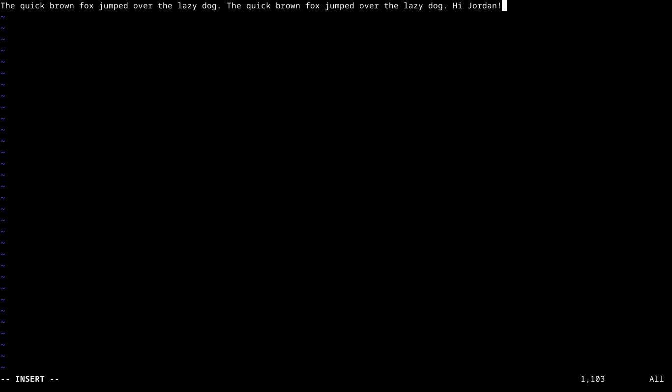 Editing a text file in Vim in the Linux terminal.