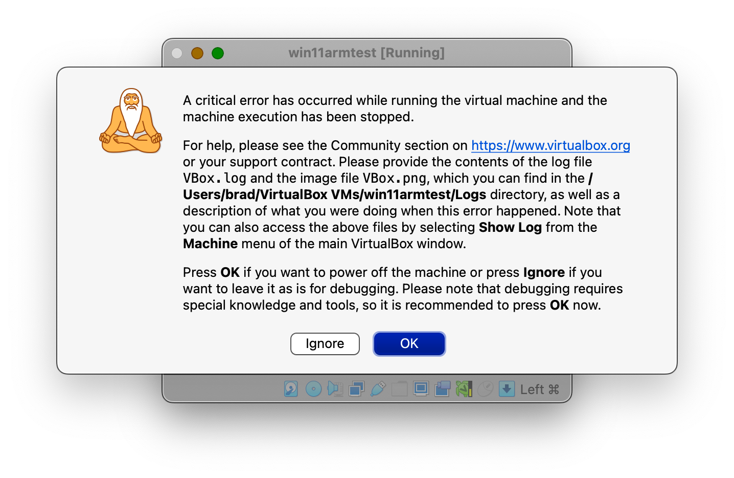 Windows 11 crashes immediately when booting in VirtualBox on Apple Silicon.