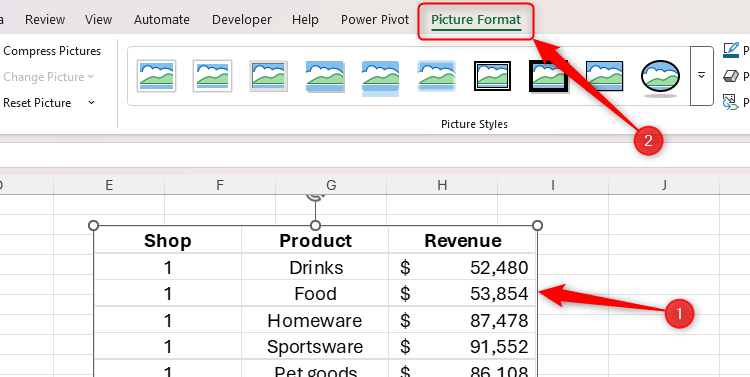 A snapshot of data captured through Excel's Camera tool is selected, and the Picture Format tab on the ribbon is opened.
