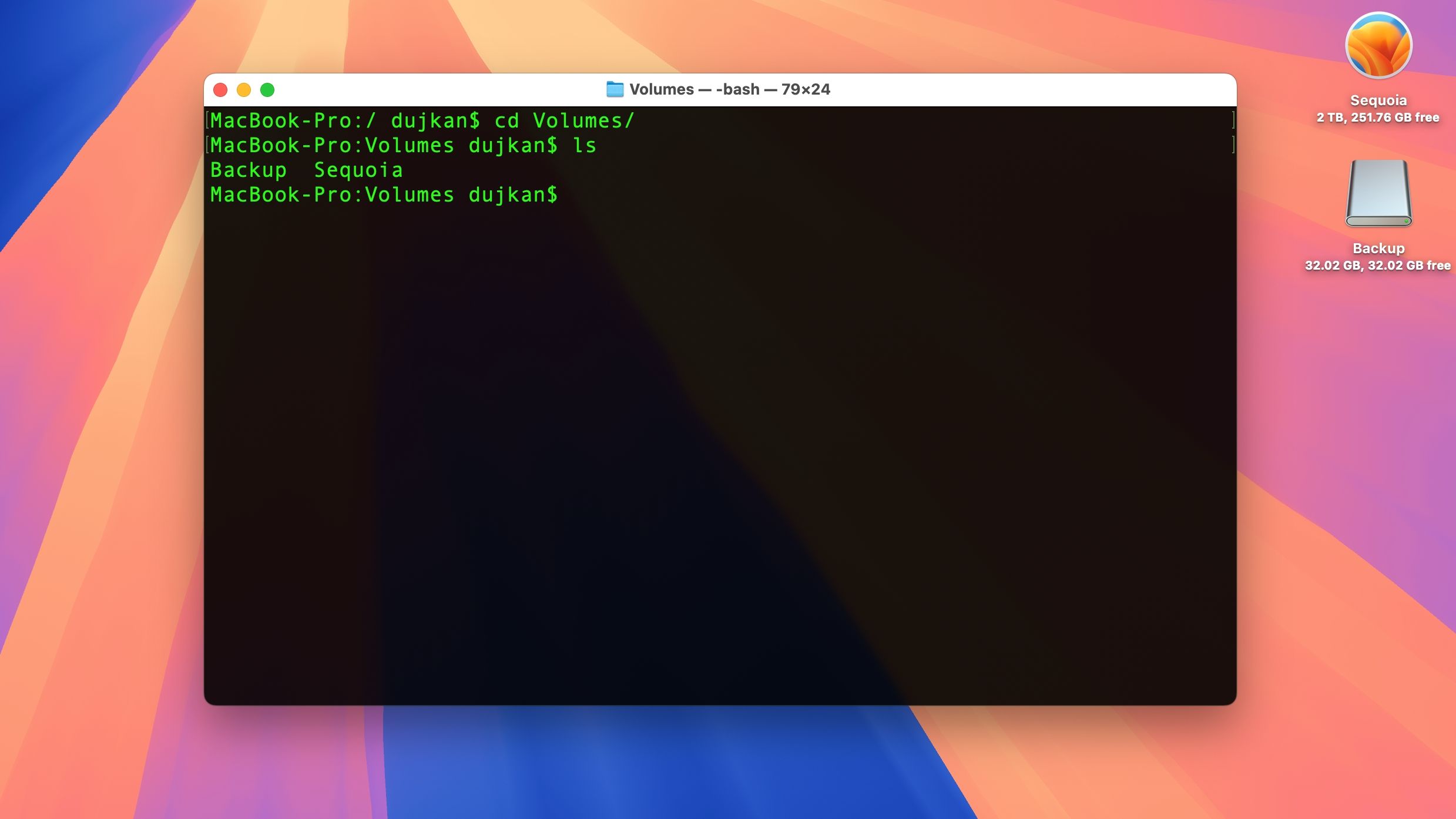macOS Terminal displaying a list of mounted volumes.
