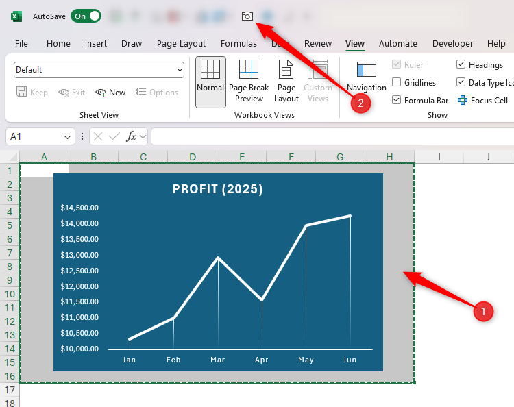 Cells around a chart in Excel are selected, and the Camera tool in the QAT is selected.