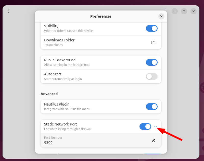 Activation of the static networking port on the Linux Packet client